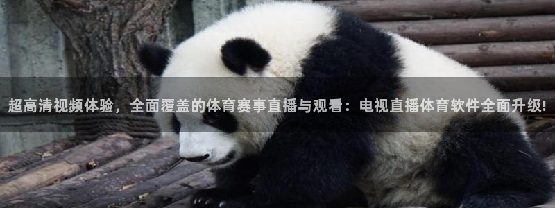球神直播在线直播免费观看：超高清视频体验，全面覆盖的体育赛事直播与观看：电视直播体育软件全面升级!
