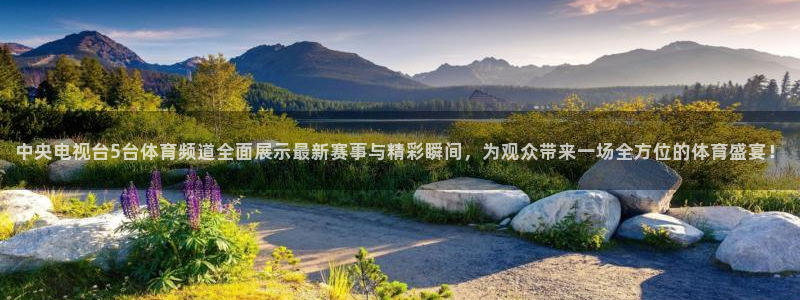 球神直播体育在线：中央电视台5台体育频道全面展示最新赛事与精彩瞬间，为观众带来一场全方位的体育盛宴！