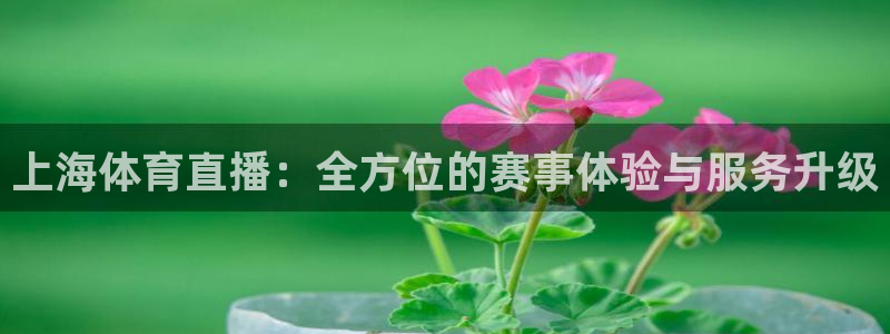 球神直播在线直播免费观看：上海体育直播：全方位的赛事体验与服务升级