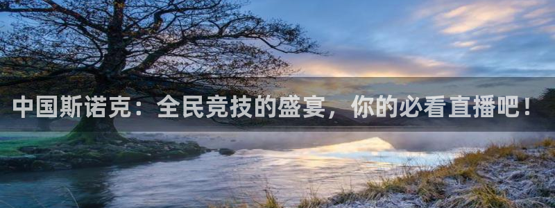 球神直播体育在线观看足球：中国斯诺克：全民竞技的盛宴，你的必看直播吧！