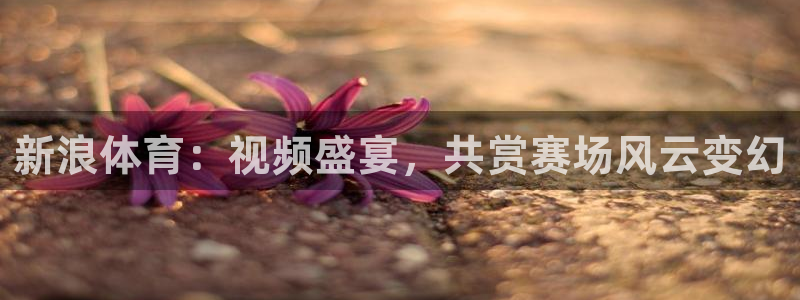 球神直播免费直播：新浪体育：视频盛宴，共赏赛场风云变幻