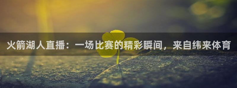 球神直播体育在线观看网址：火箭湖人直播：一场比赛的精彩瞬间，来自纬来体育