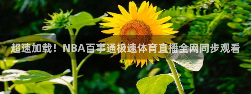 黑白直播免费高清看球神器：超速加载！NBA百事通极速体育直播全网同步观看