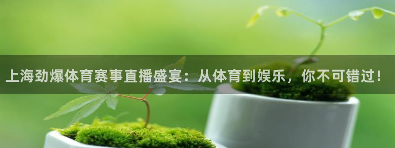球神体育在线直播：上海劲爆体育赛事直播盛宴：从体育到娱乐，你不可错过！