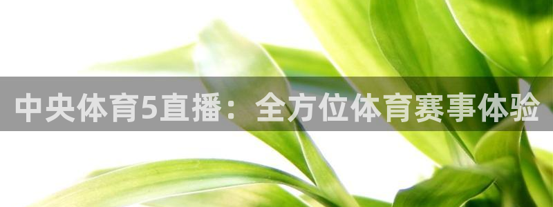 球神直播体育在线观看足球：中央体育5直播：全方位体育赛事体验