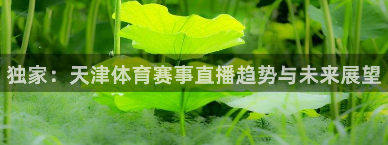 球神直播免费直播：独家：天津体育赛事直播趋势与未来展望